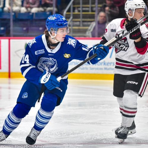 Steelheads Jack Van Volsen Steps Up as a Key Player Following a Stellar Weekend